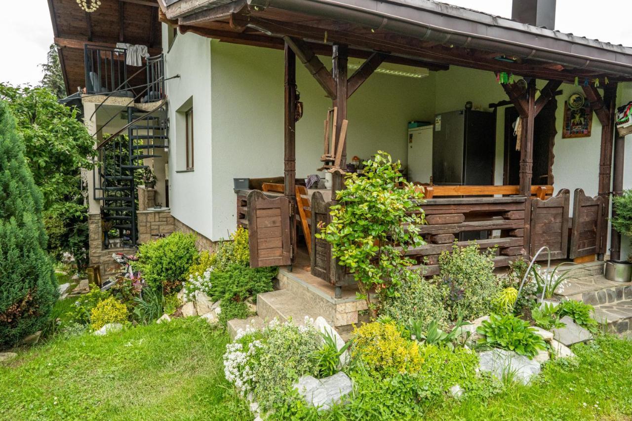 Cabana Rustic บอร์ชา ภายนอก รูปภาพ
