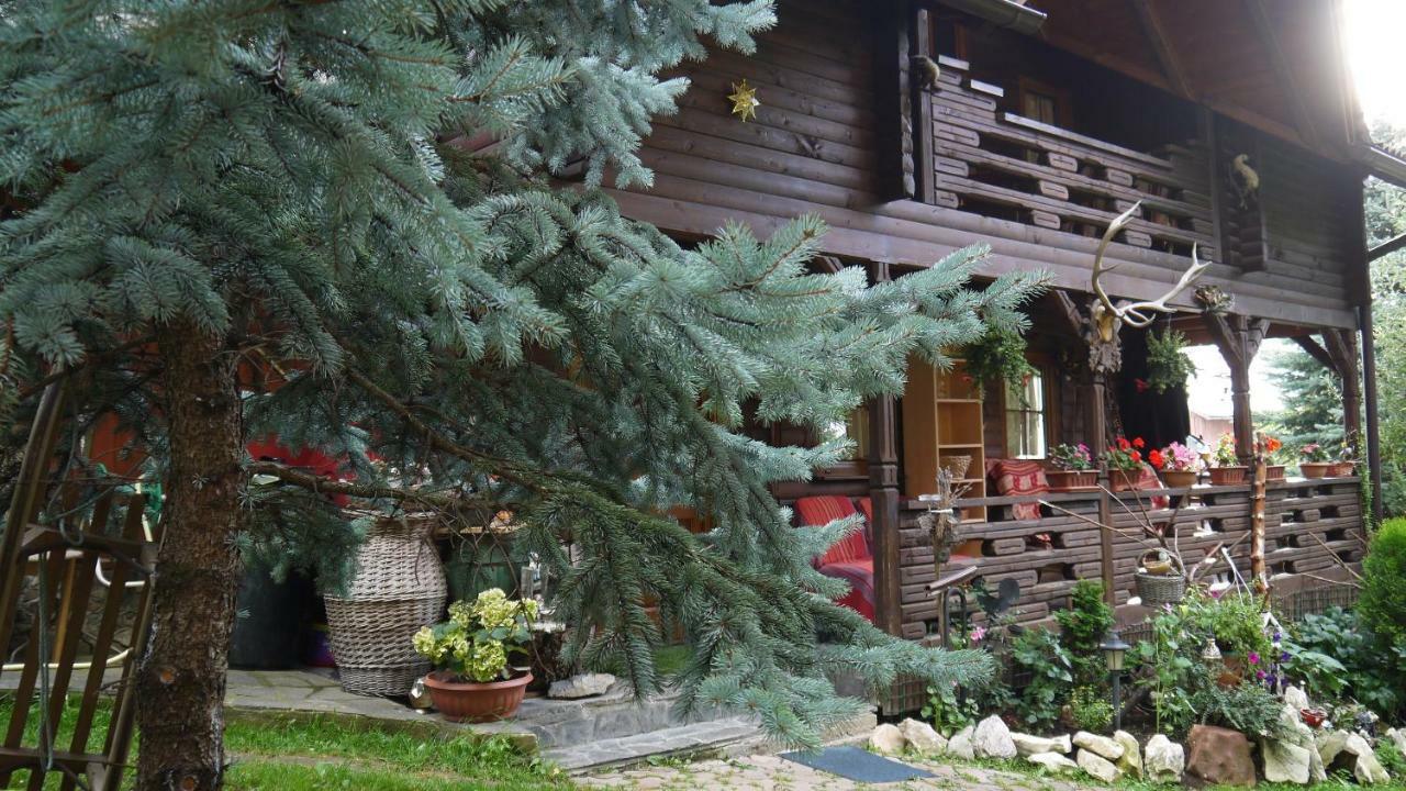 Cabana Rustic บอร์ชา ภายนอก รูปภาพ